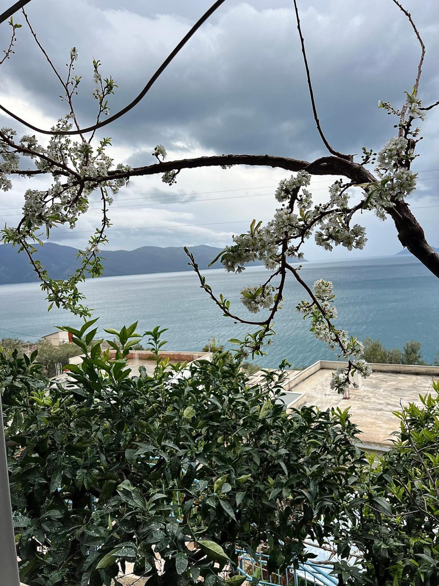 Apartamento Marisi House Vlorë Exterior foto